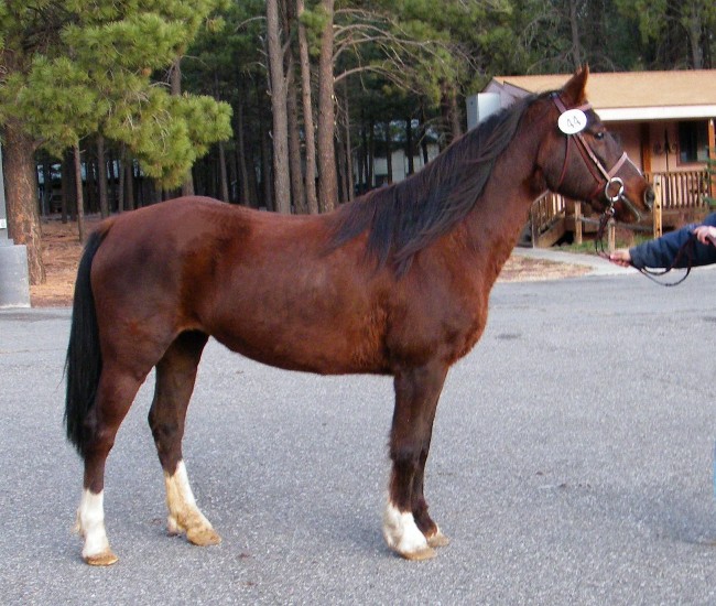 FEIT Inspectection Results 2009 for Flagstaff Arizona